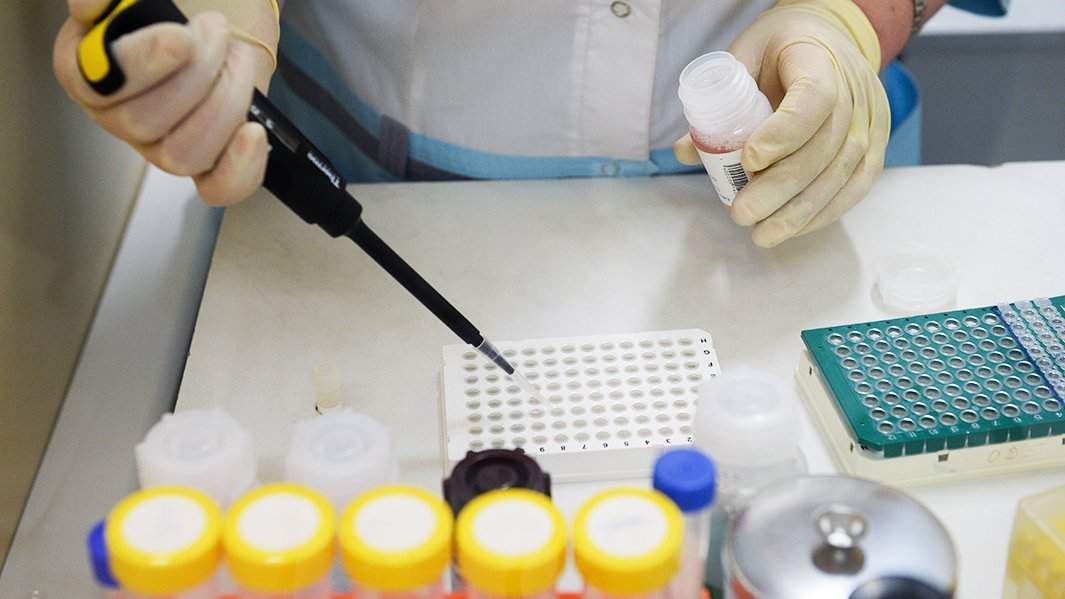 типирование