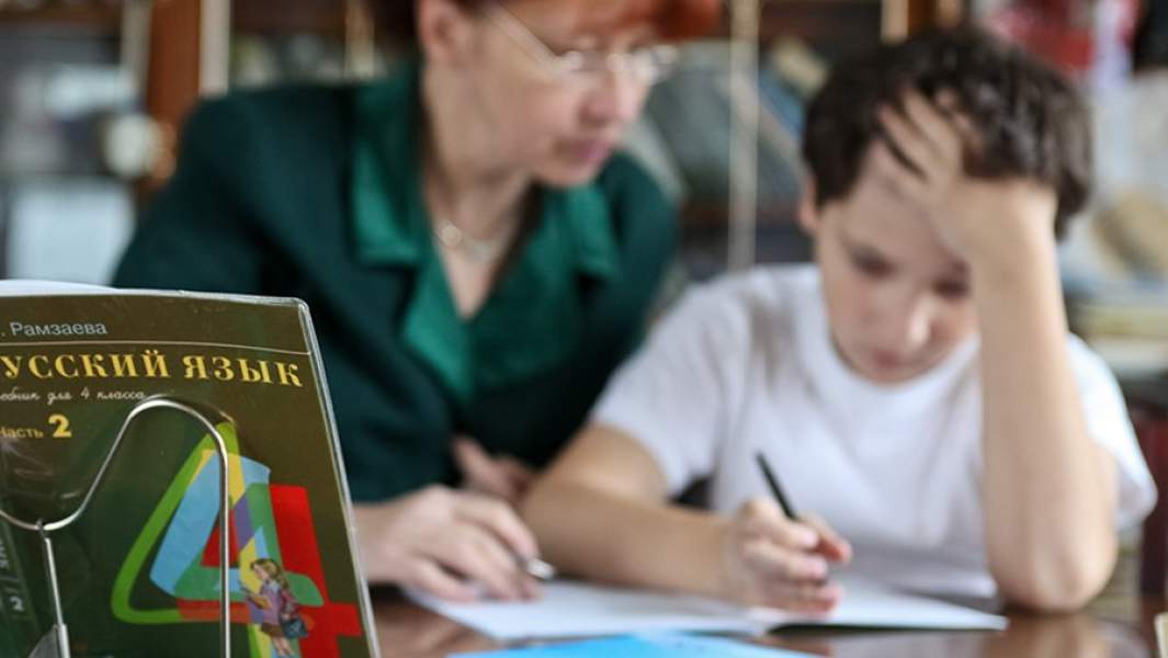 репетитор школа учитель