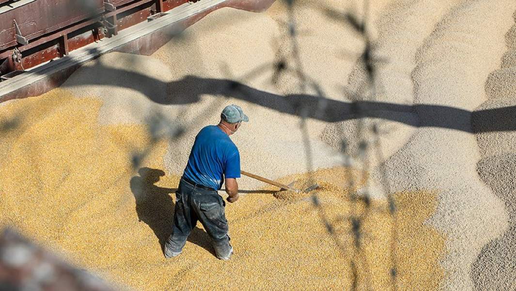 Сотрудник во время загрузки зерна на прибывшее судно