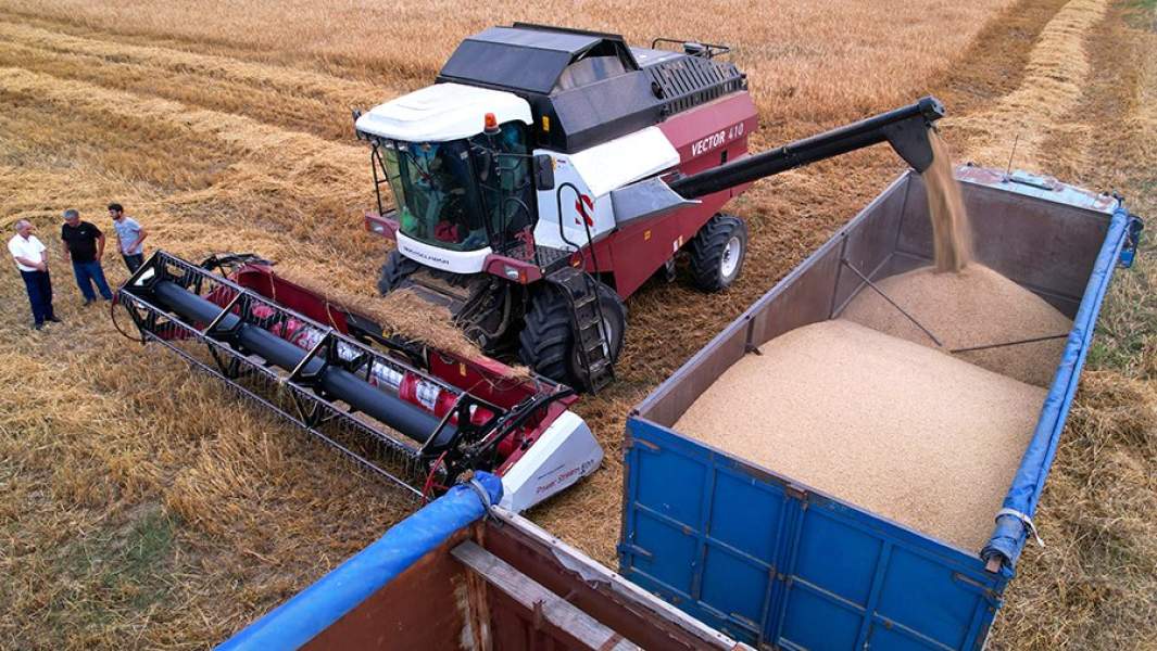 Уборка урожая пшеницы