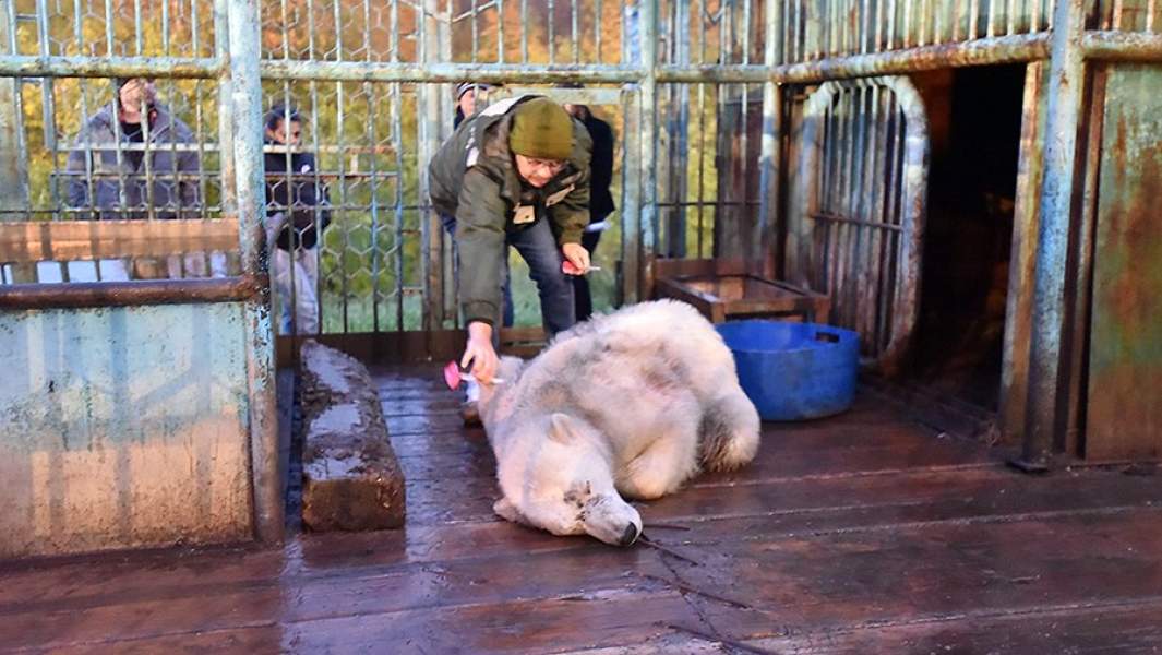 Основные меры безопасности