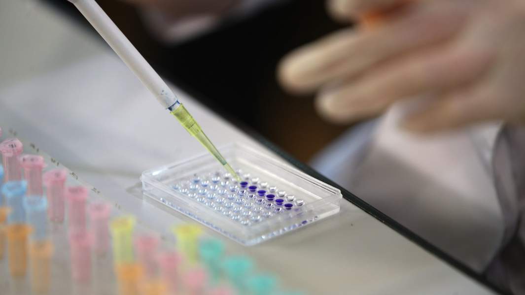 лаборатория 