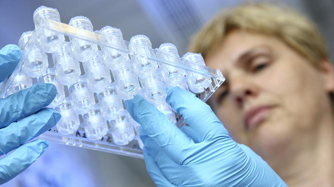 лаборатория 