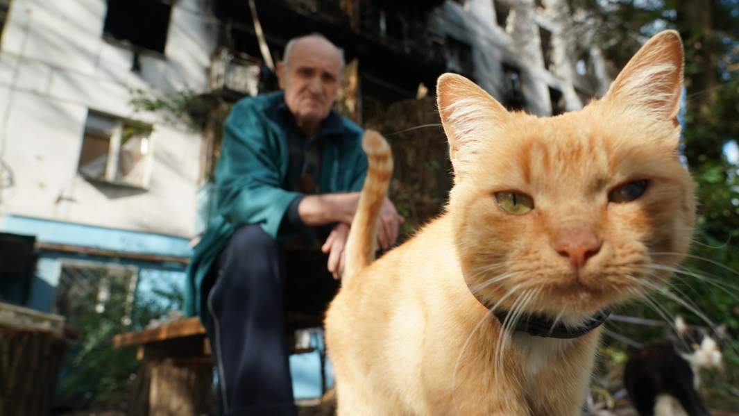 Северодонецк