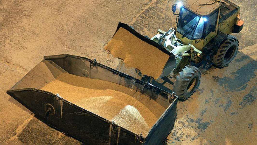 Погрузка кукурузы