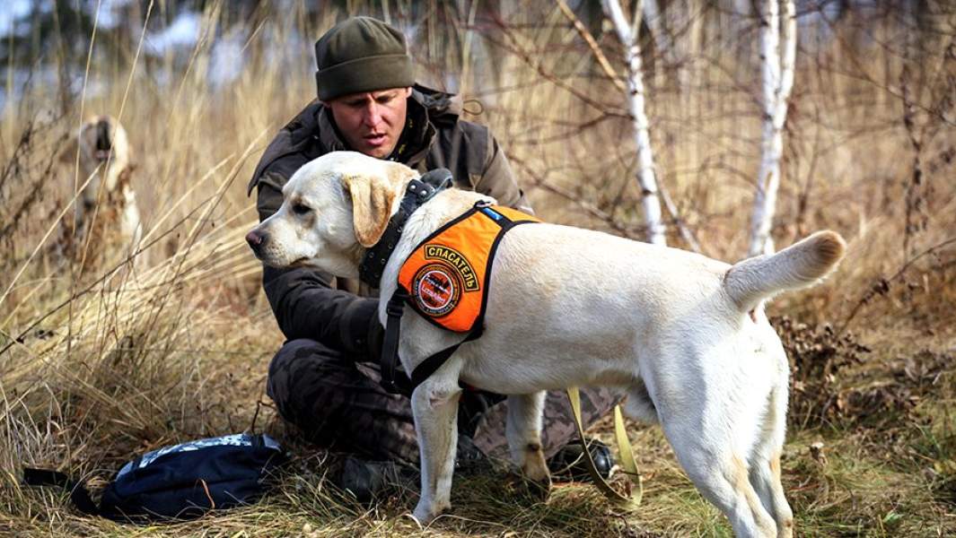Во время поисково-спасательных работ