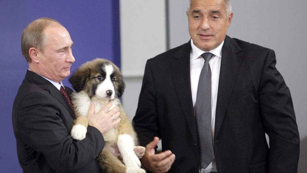Президент России Владимир Путин держит на руках щенка болгарской овчарки, подаренного ему председателем Совета министров Болгарии Бойко Борисовым. 2010 год