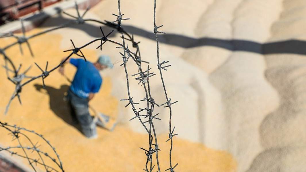 Погрузка зерна на судно