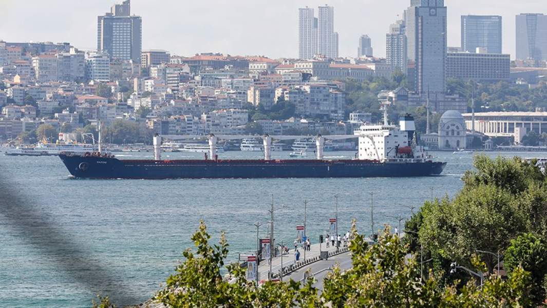 Сухогруз Razoni с украинским зерном на рейде Стамбула