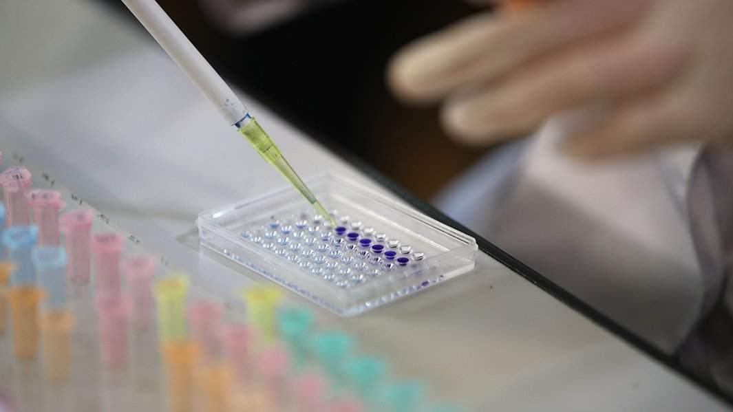 лаборатория 