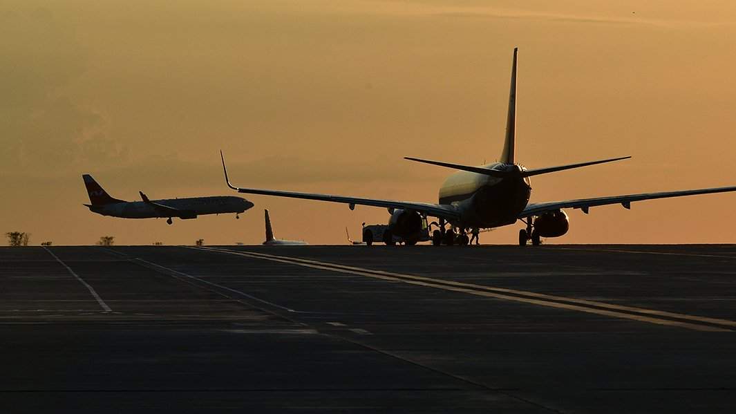 на своих крыльях