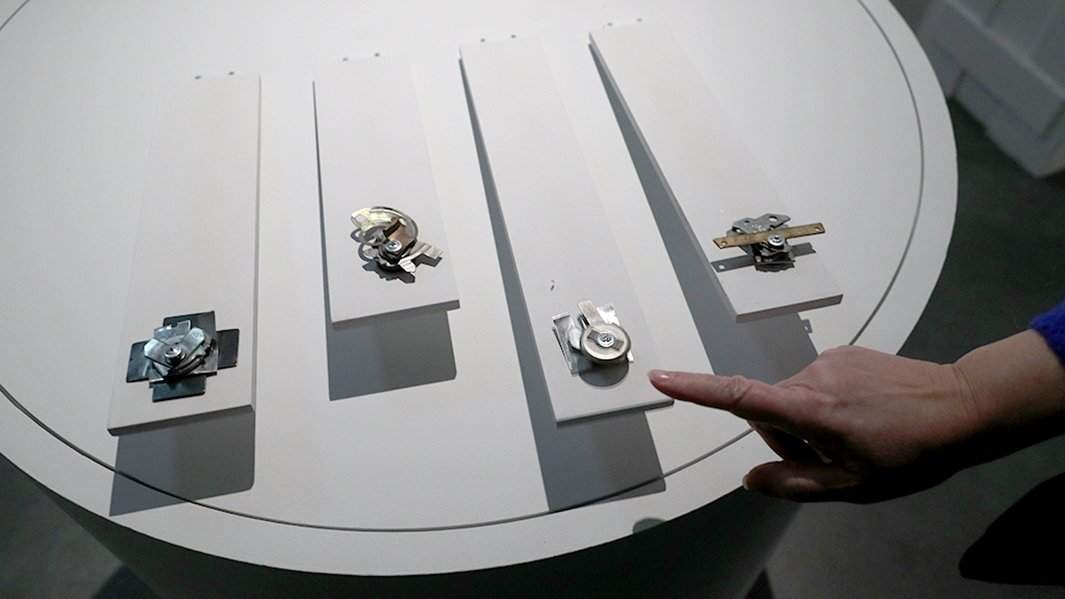 выставка зотов