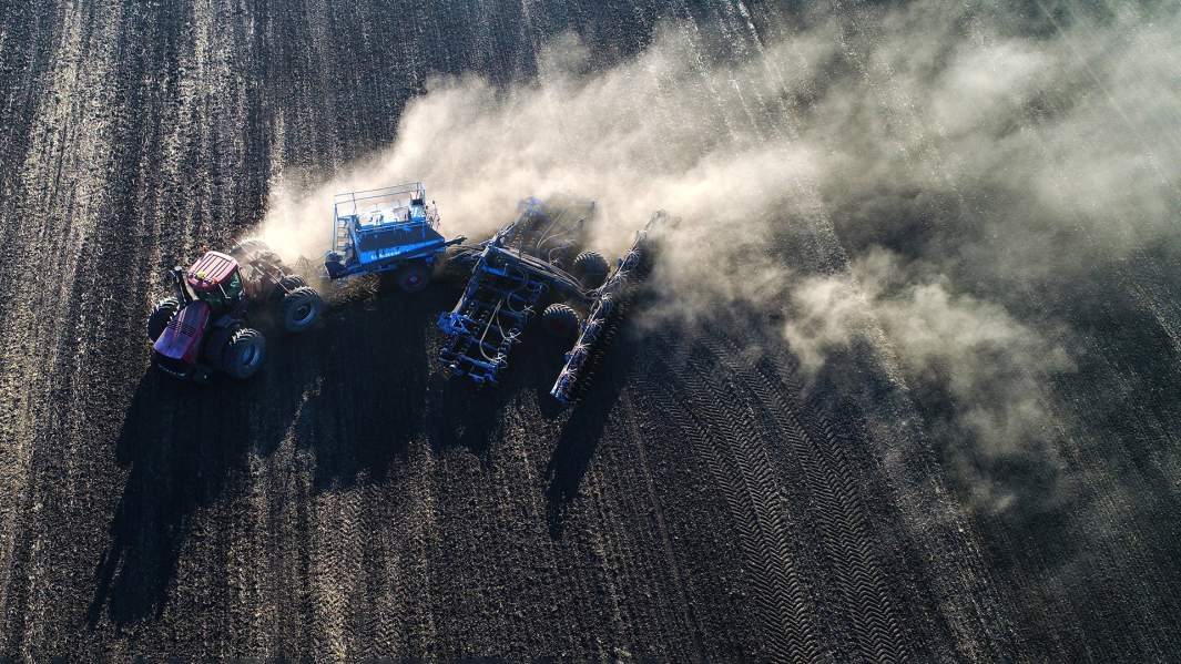 Посевной комплекс сеет пшеницу