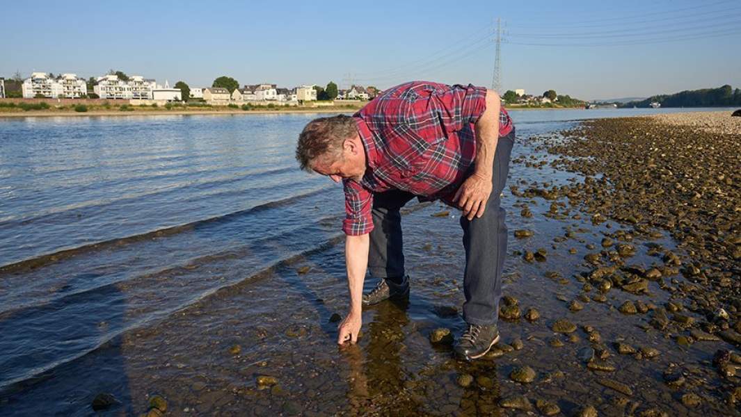 Низкий уровень воды из-за изменений климата угрожает рыбе в водоемах Европы