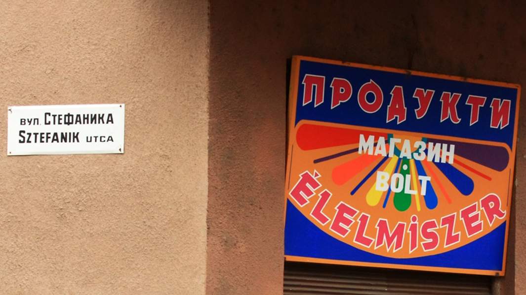 Использование украинского и венгерского языков в городе Берегово