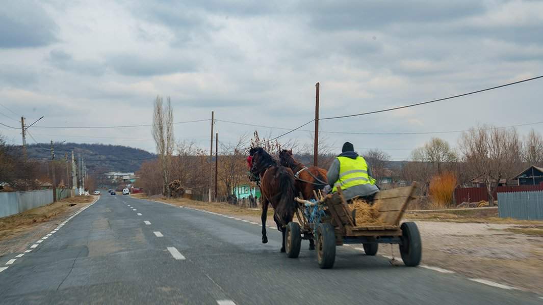 Дорога, конная повозка