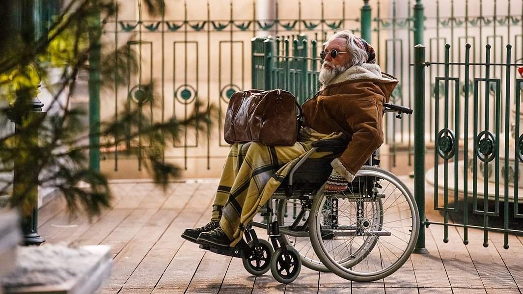 Елки-иголки