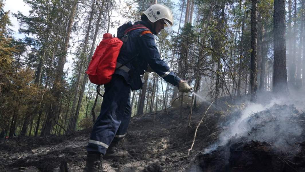 Тушение лесного пожара