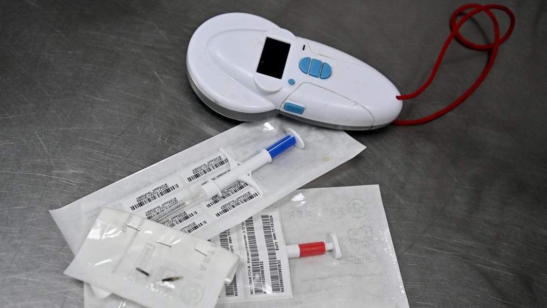 чипирование игла