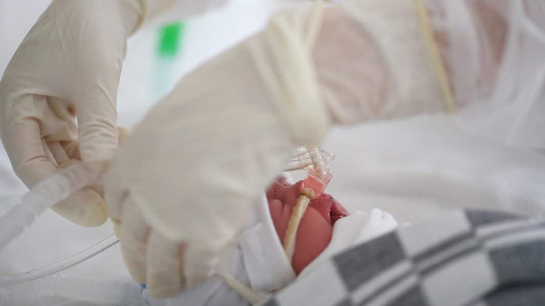 новорожденный роддом