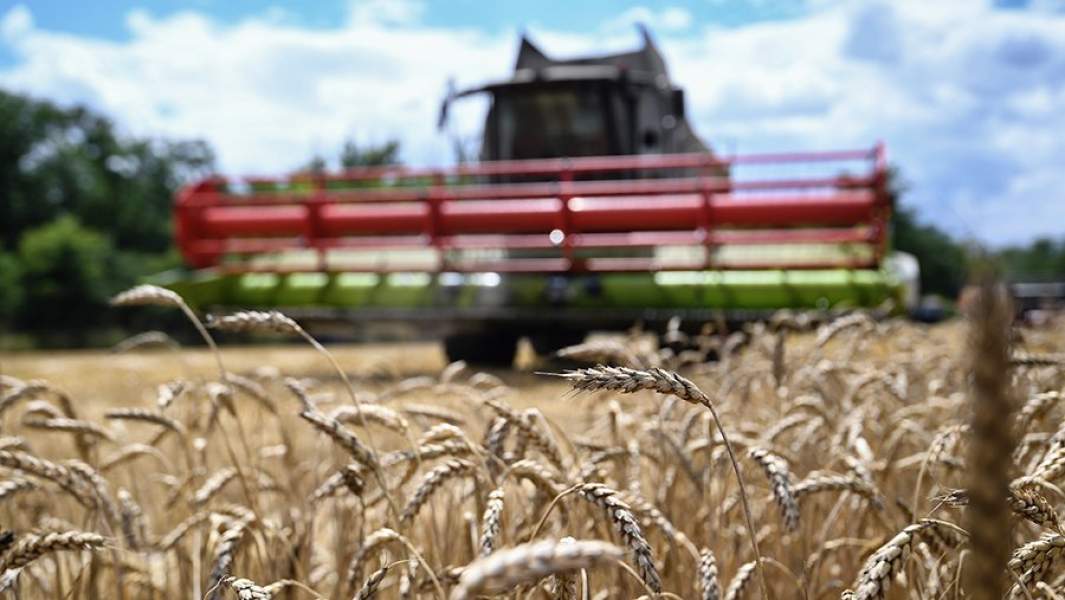 Уборка урожая пшеницы