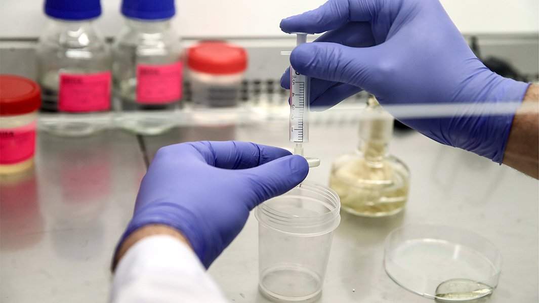 исследование