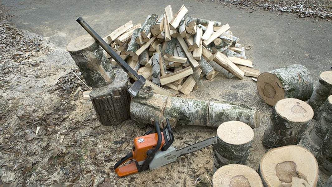 Заготовка дров