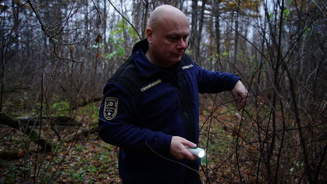 поиск детей