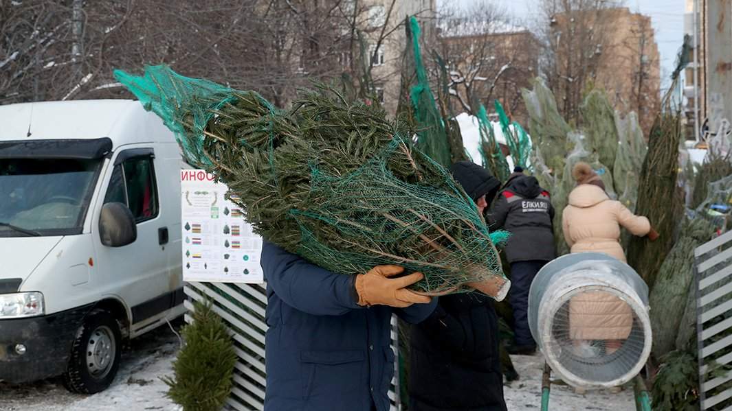 елочный базар