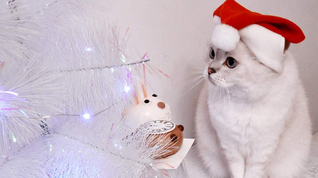 кот ель гирлянда