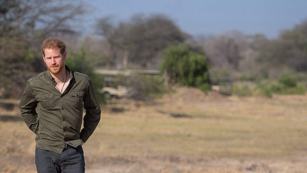 принц гарри Ботсвана