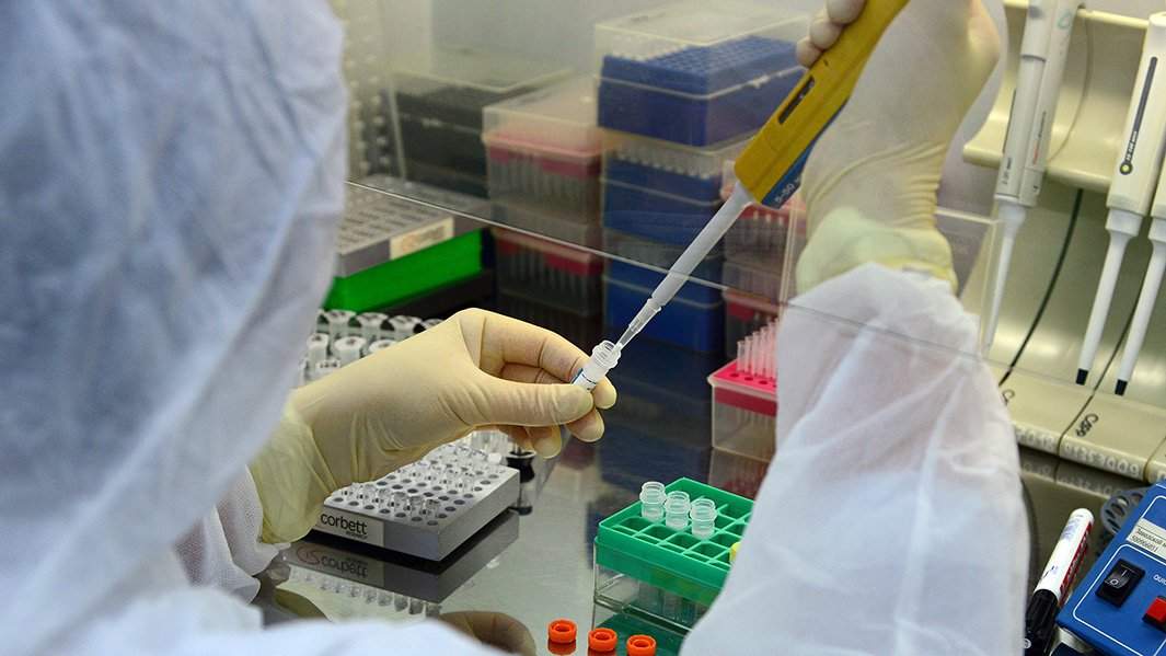 covid  тест лаборатория