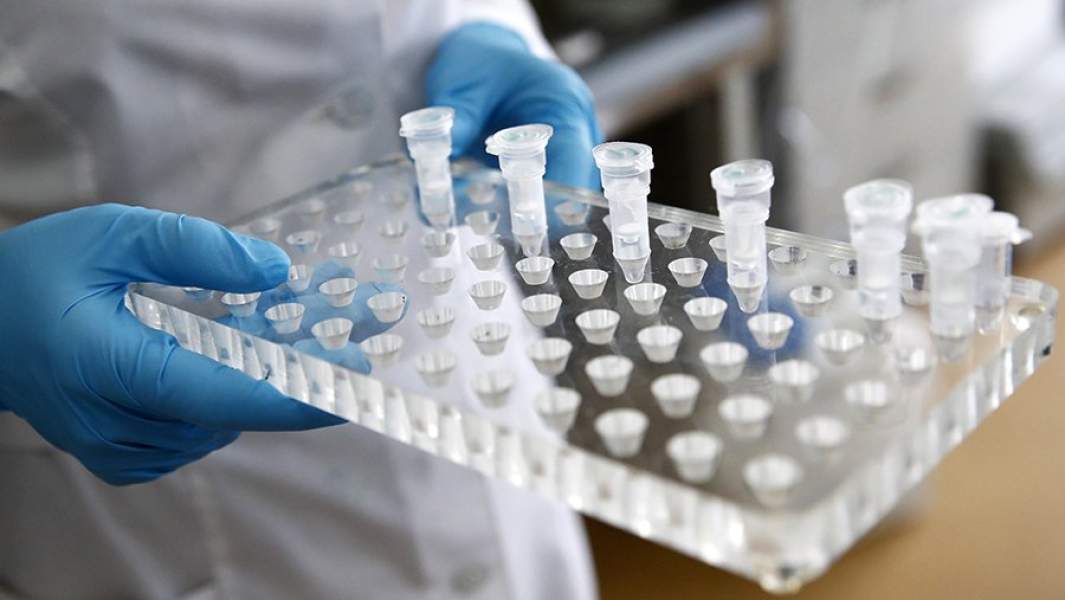 ск рф лаборатория