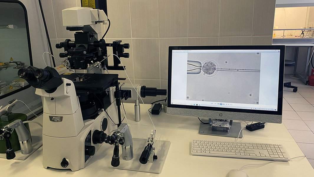 техника клонирование