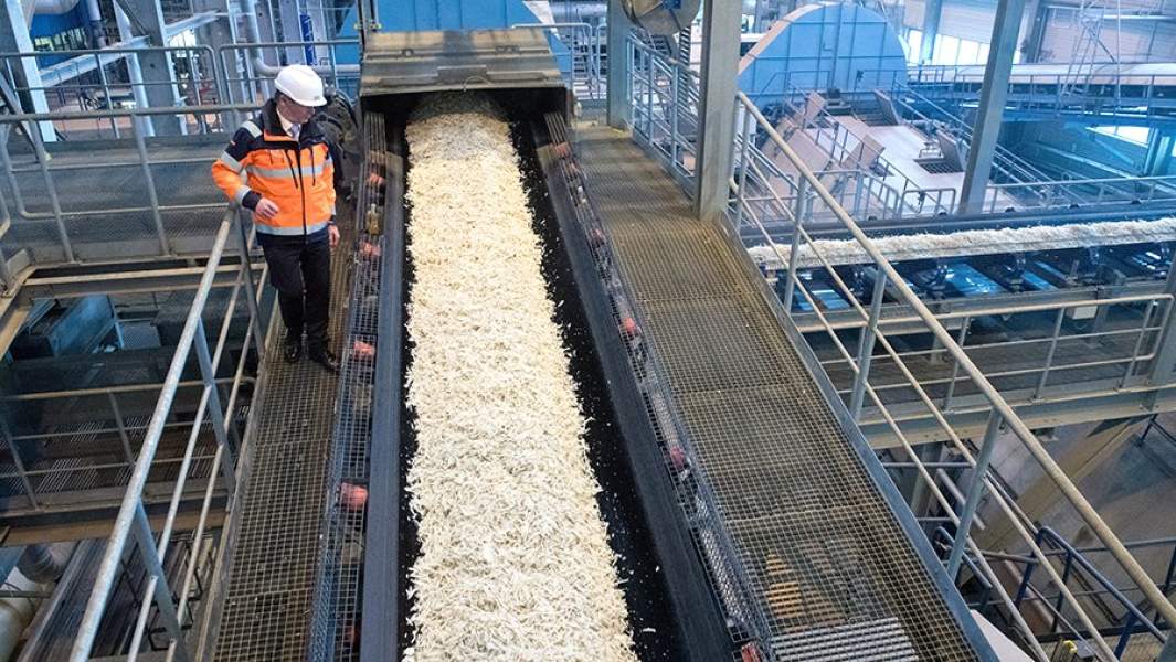 Переработка сахарной свеклы на одной из фабрик в Германии