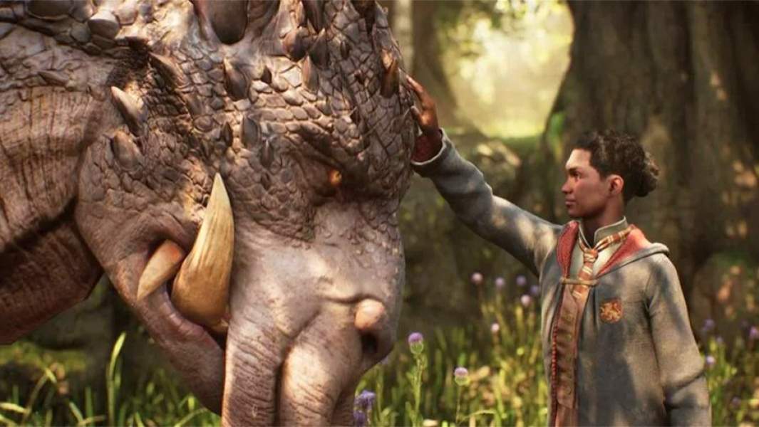 Скриншот из игры Hogwarts Legacy