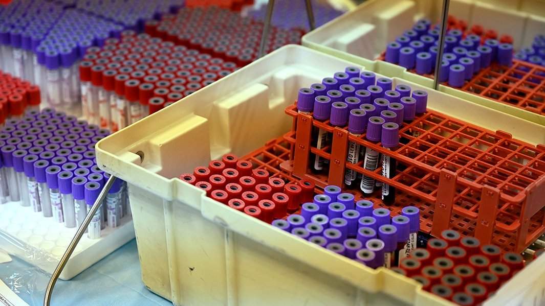 кровь пробирка