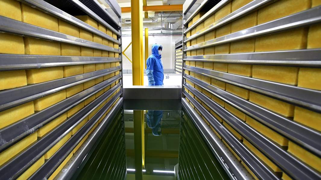 производство сыра