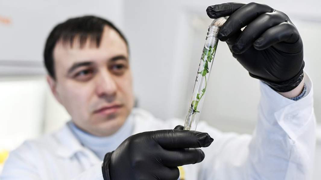 лаборатория 