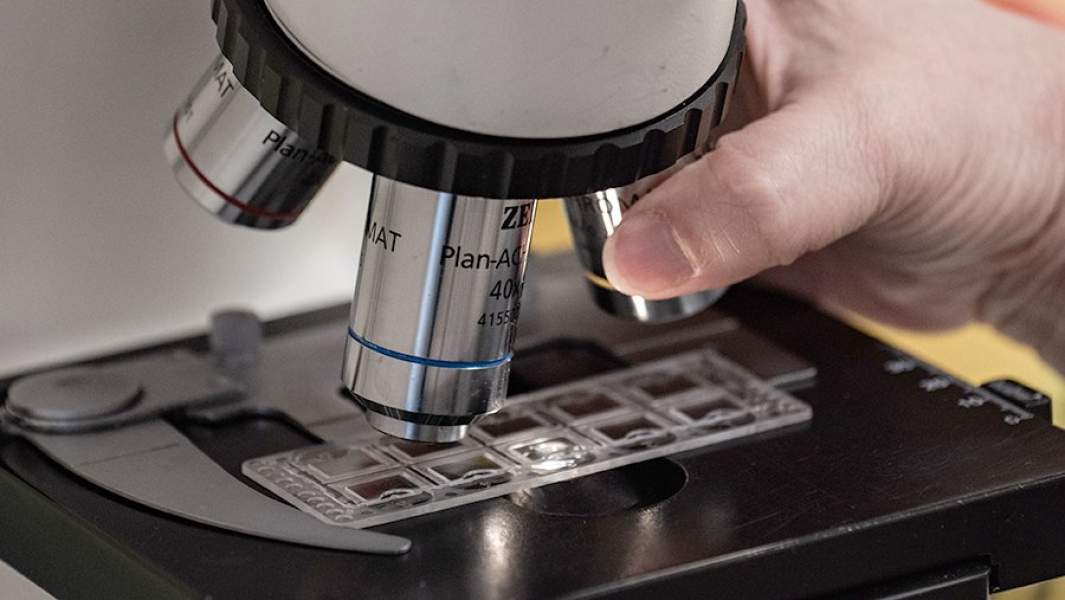 микроскоп врач 