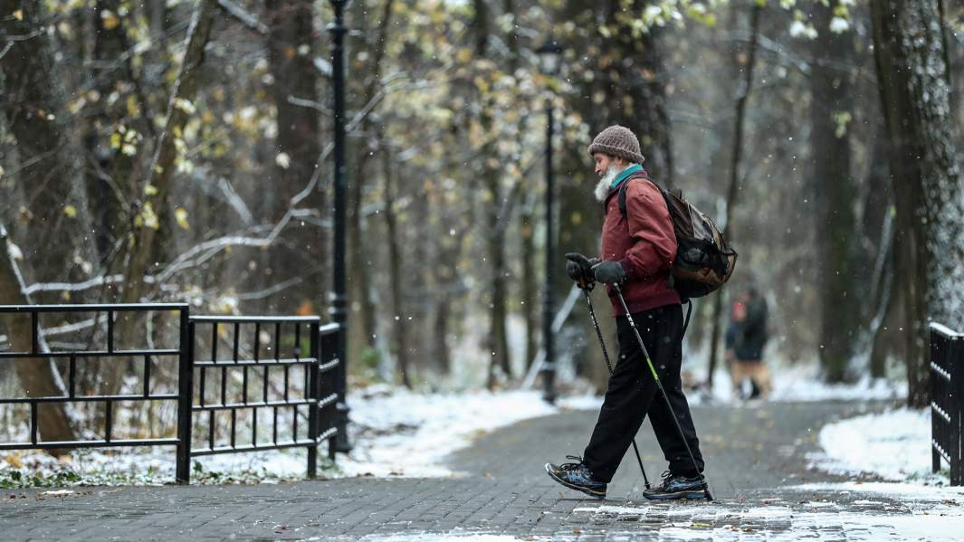 скандинавская ходьба