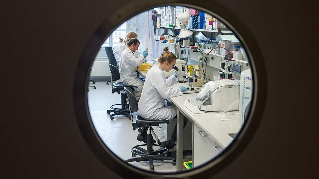 лаборатория