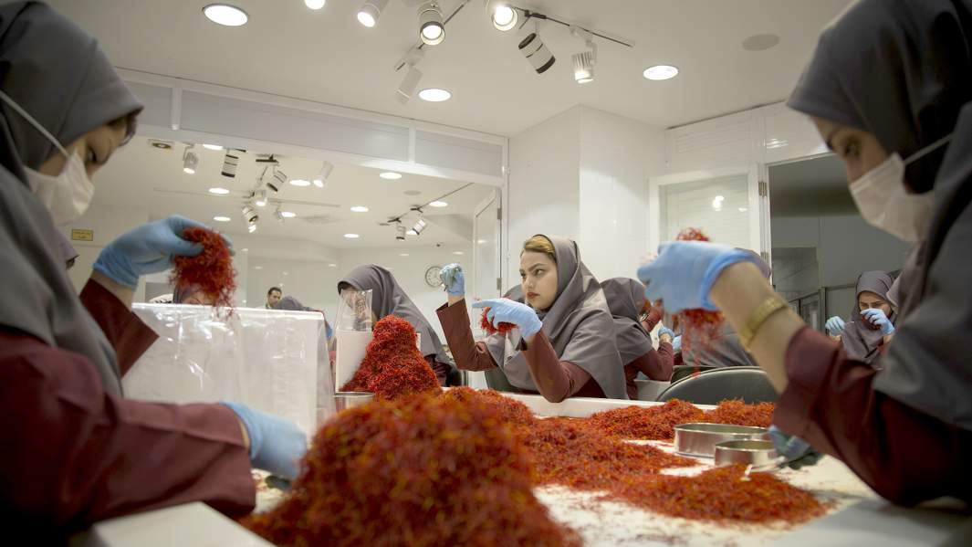 предприятие шафран девушки