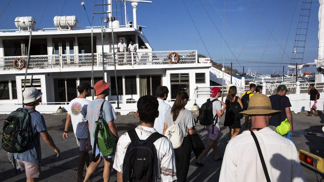 Туристы идут на яхту