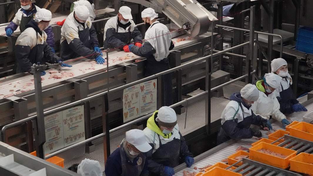 Рыбоперерабатывающий комплекс