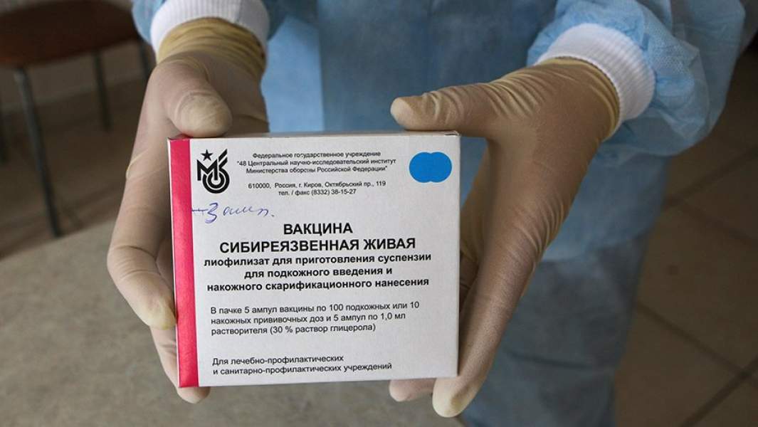 Вакцина от сибирской язвы