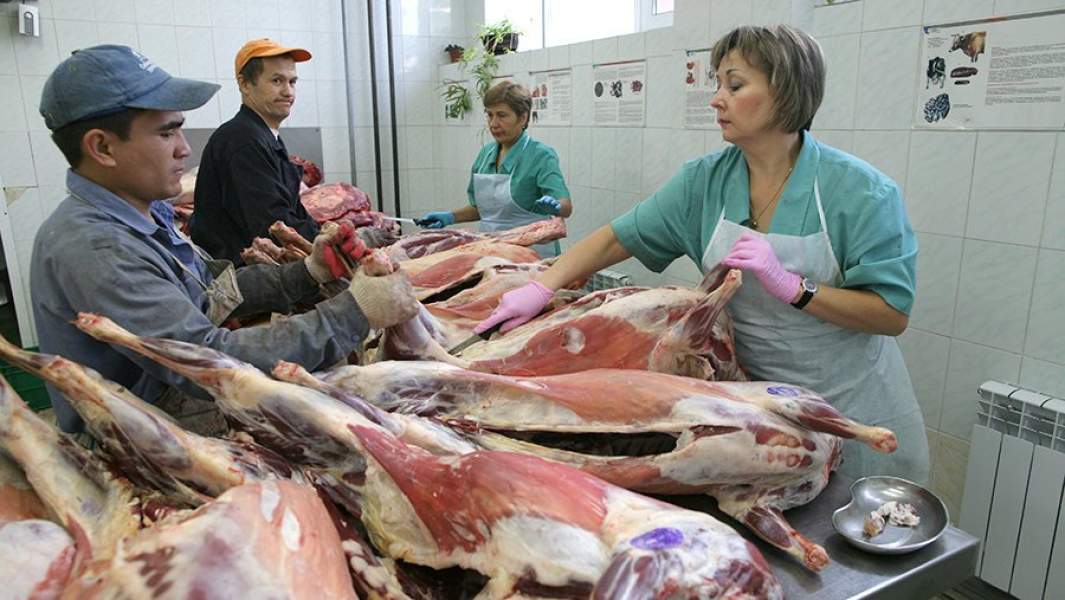 Проверка качества мяса в лаборатории ветеринарно-санитарной экспертизы