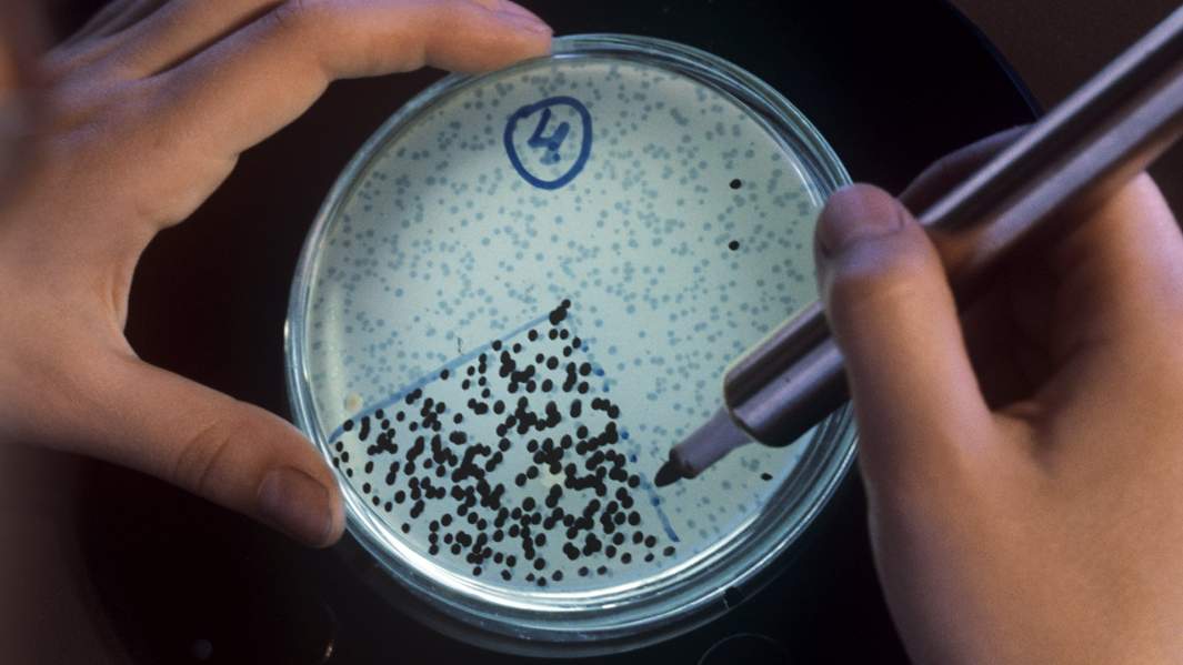 Биоинженерия