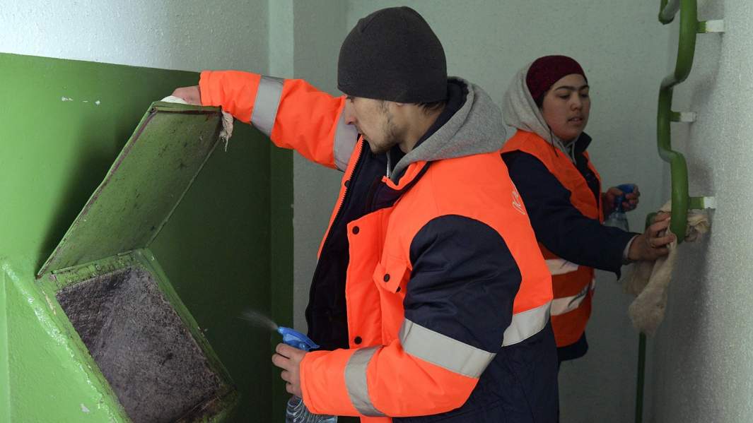 Сборный вопрос: в Госдуме предложили запретить мусоропроводы в домах |  Статьи | Известия