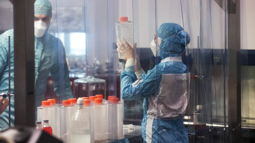 Сотрудники